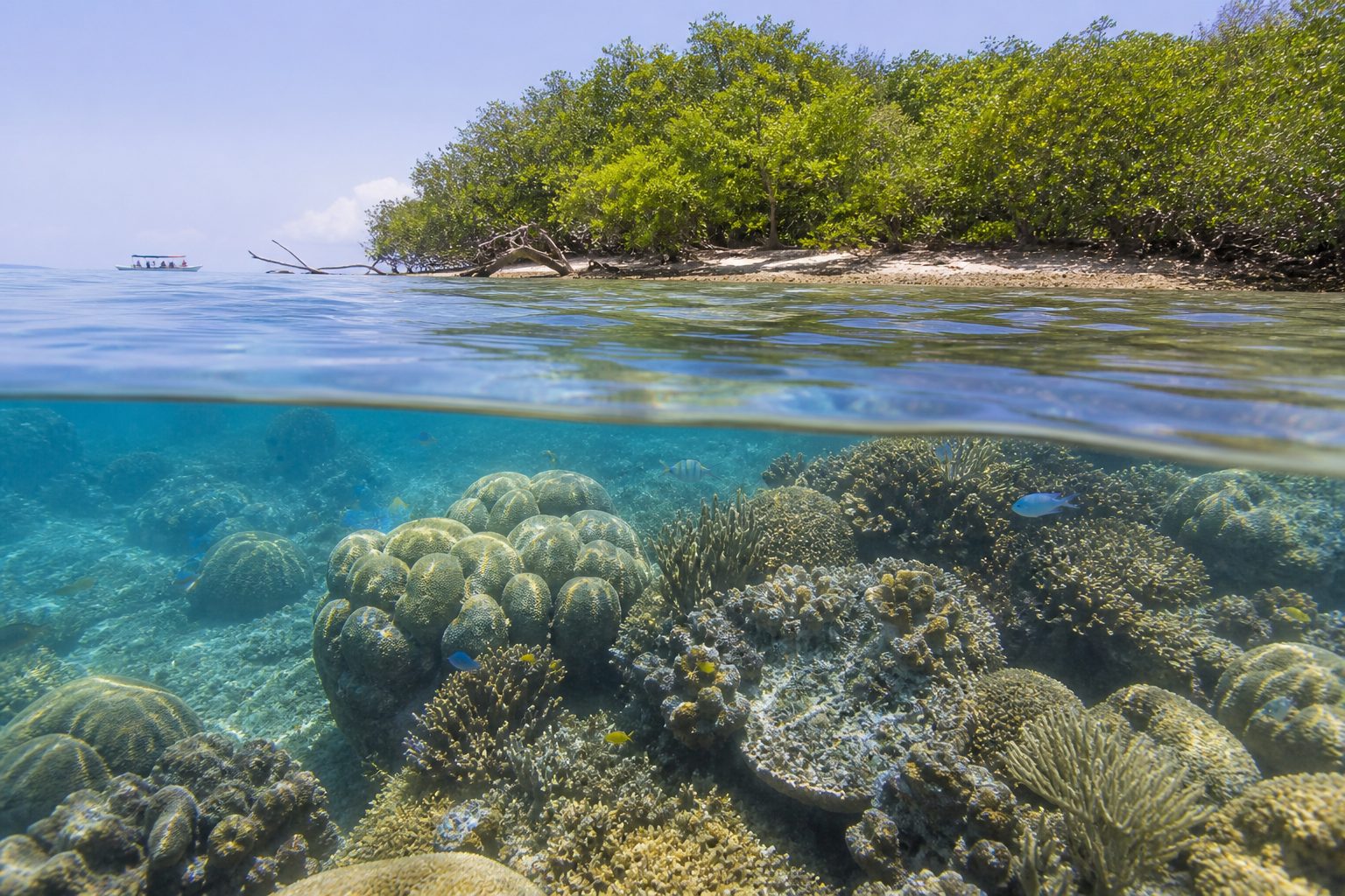 Islas del Rosario: biodiversidad y consejos para una visita sostenible